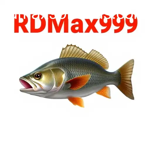 Exploring the World of Online Fishing: Understanding the RDMax99 Bonus